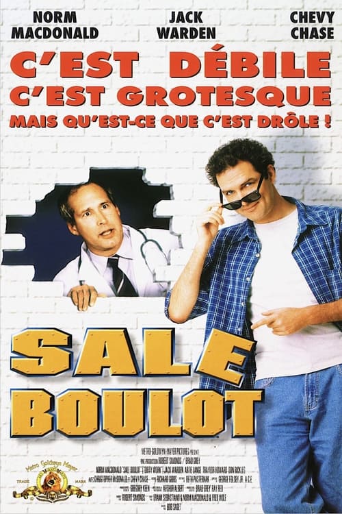 Jaquette Sale Boulot
