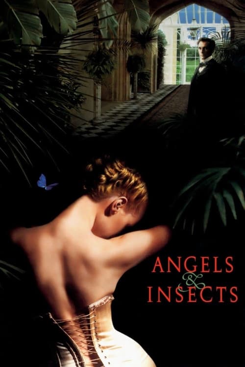 Jaquette Angels and Insects
