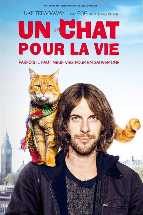 Jaquette Un chat pour la vie