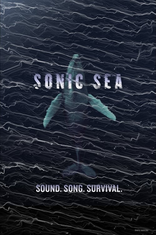 Jaquette Sonic Sea