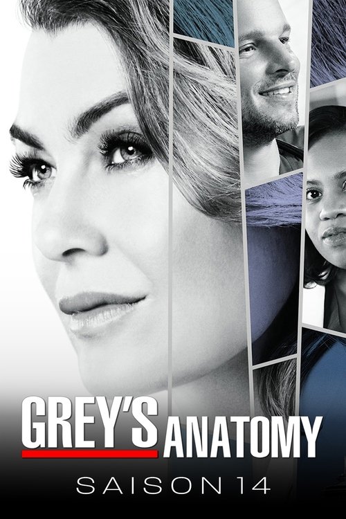 Jaquette Grey's Anatomy