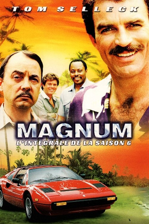 Jaquette Magnum
