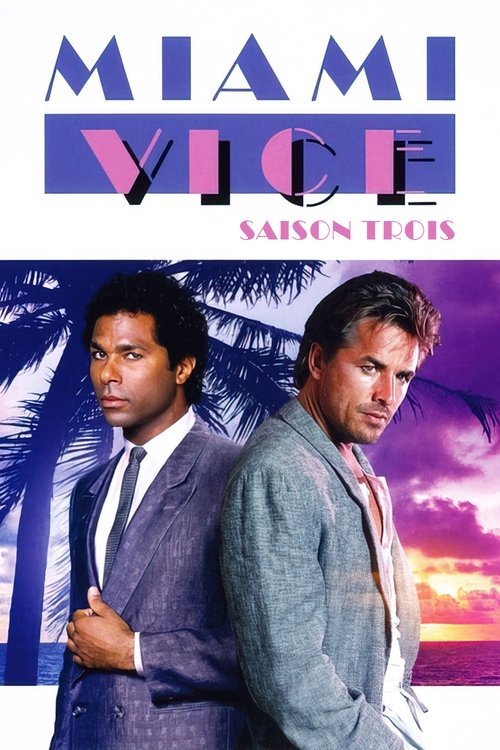 Jaquette Deux flics a Miami