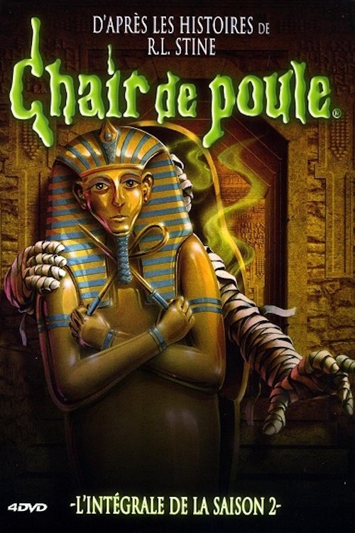 Jaquette Chair de poule