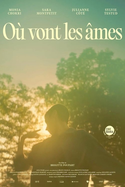 Jaquette Où vont les ames?