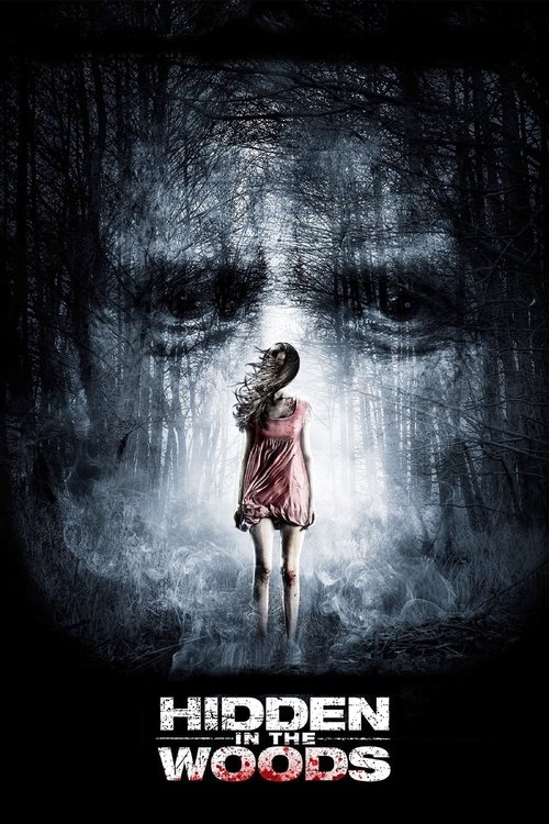 Jaquette Hidden in the Woods