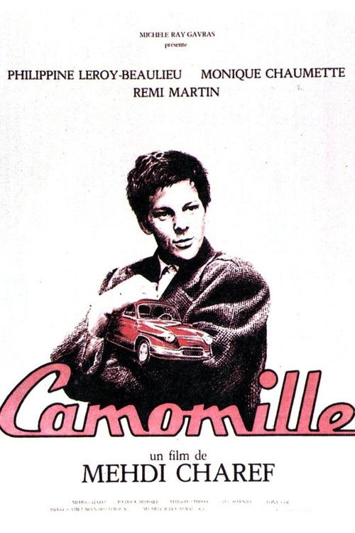 Jaquette Camomille