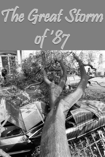 Jaquette The Great Storm of '87