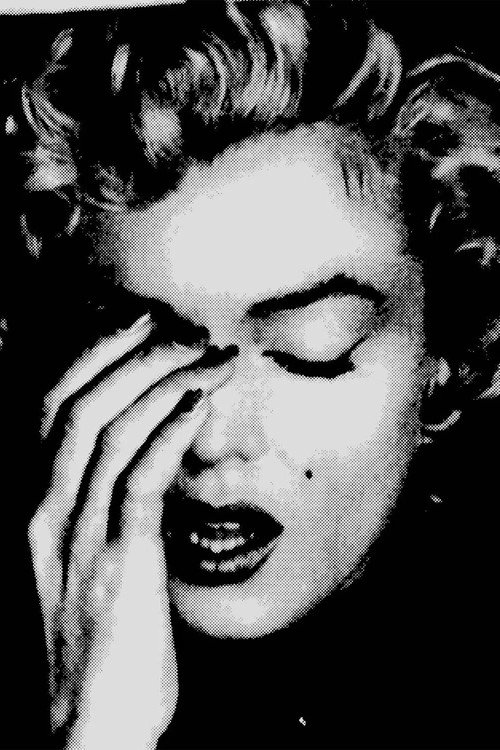 Jaquette The Marilyn Files