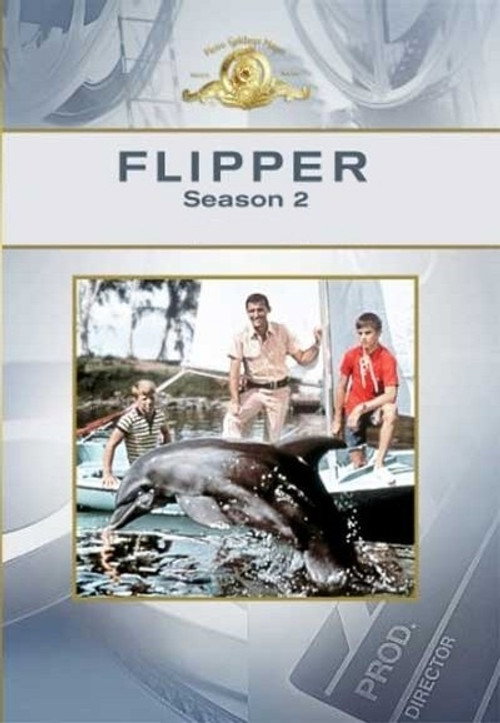 Jaquette Les Nouvelles Aventures de Flipper le dauphin