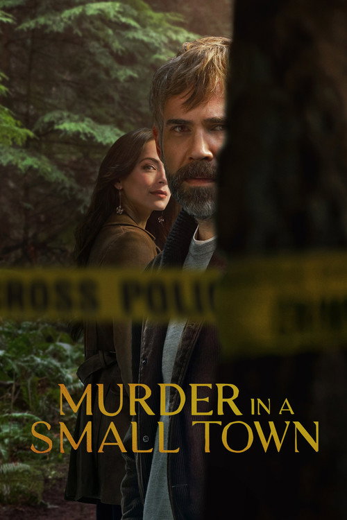 Jaquette Murder in a Small Town
