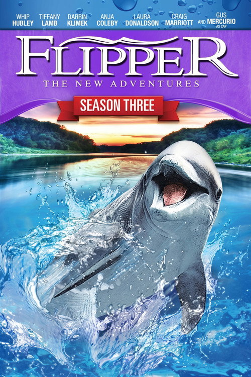 Jaquette Les Nouvelles Aventures de Flipper le dauphin
