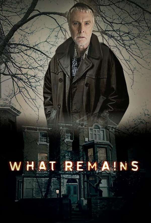 Jaquette What Remains
