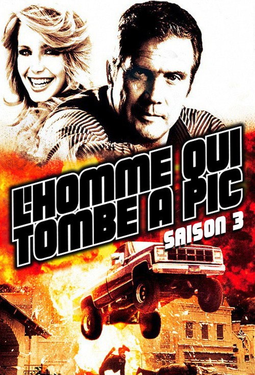 Jaquette L'homme qui tombe à pic