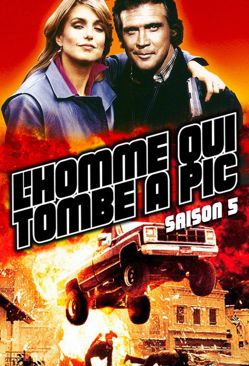 Jaquette L'homme qui tombe à pic