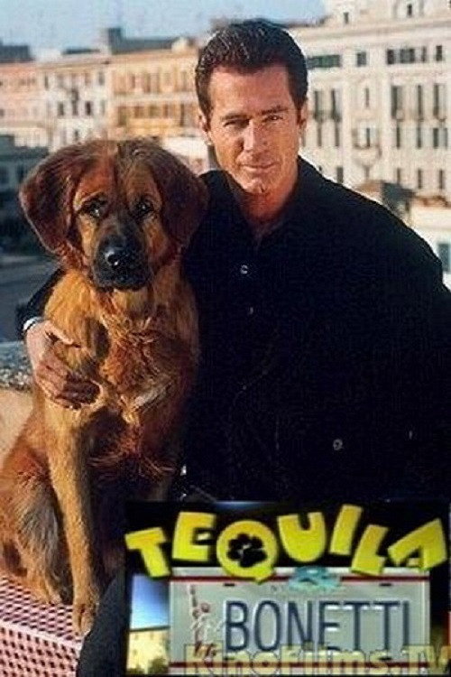 Jaquette Les Nouvelles aventures de Tequila et Bonetti