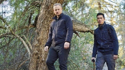 Episode 12