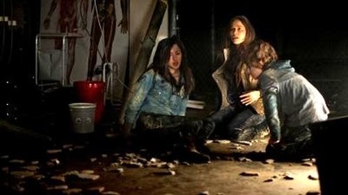 Episode 7