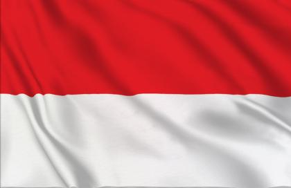 Drapeau pays